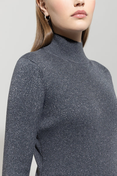 Wool-Blend Knit in Turtle Neck