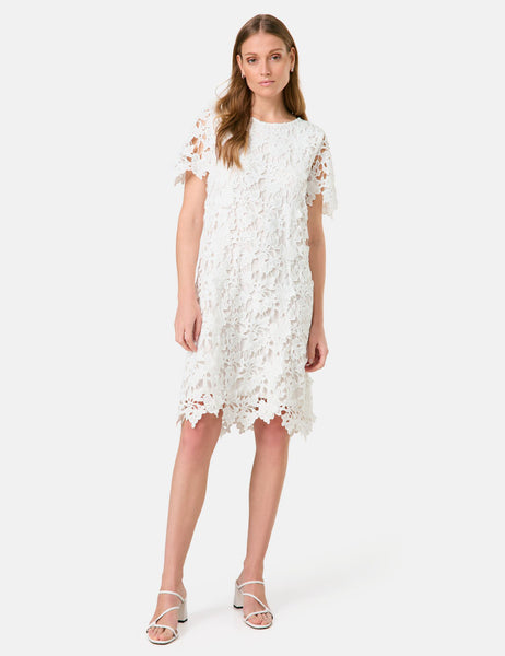 Lace Dress